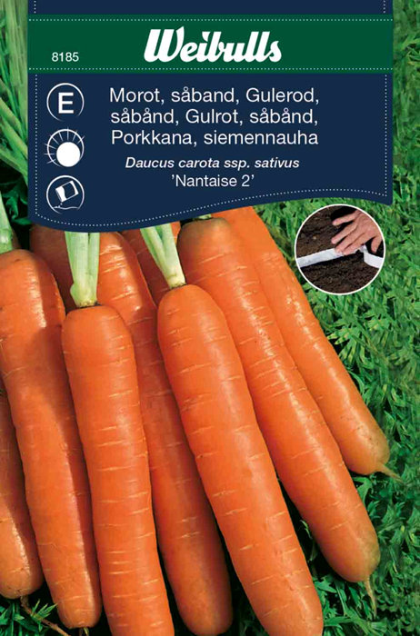 Gulrot, sommer 'Nantaise 2'